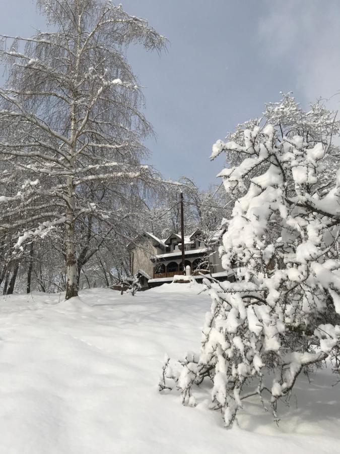 Kuca Za Odmor ,,Balkan” Crni Vrh ภายนอก รูปภาพ