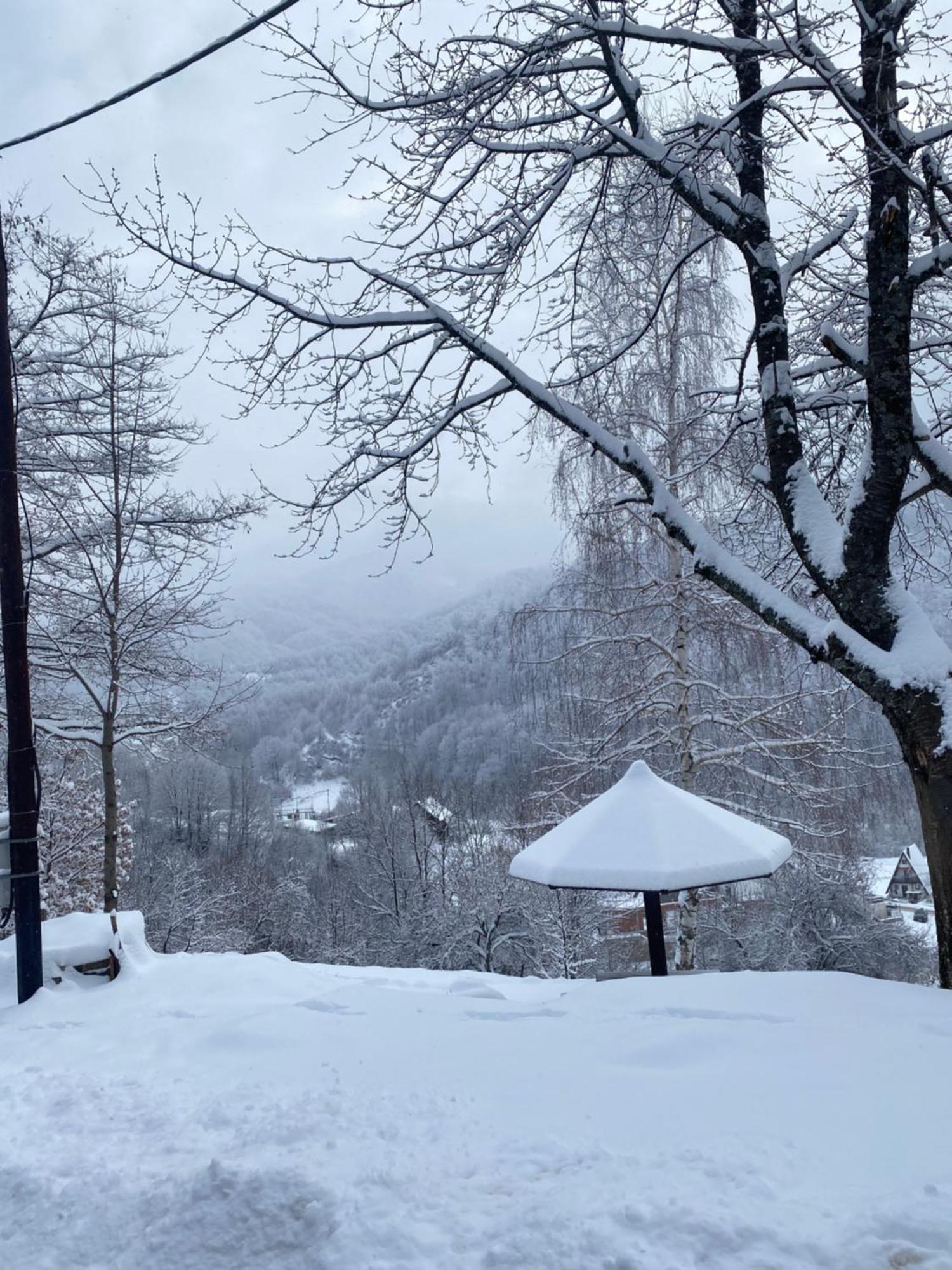 Kuca Za Odmor ,,Balkan” Crni Vrh ภายนอก รูปภาพ